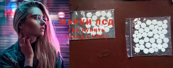 стафф Вяземский