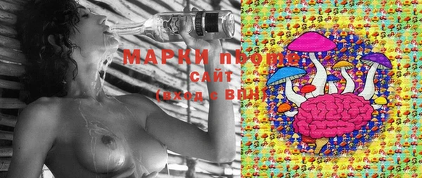 хмурый Вязьма
