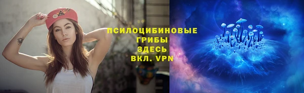 стафф Вяземский