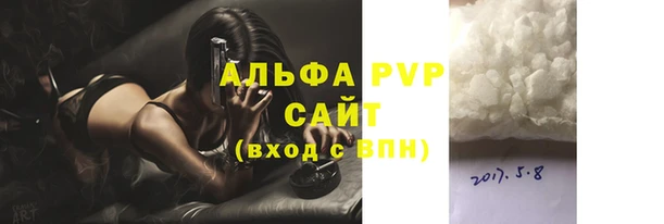 стафф Вяземский