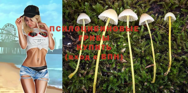 хмурый Вязьма