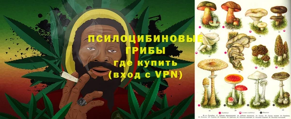 хмурый Вязьма