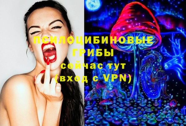 стафф Вяземский