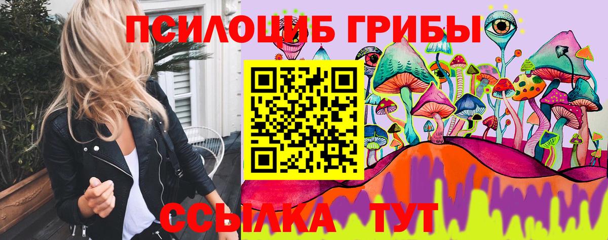 наркотики  Гатчина  Псилоцибиновые грибы GOLDEN TEACHER 