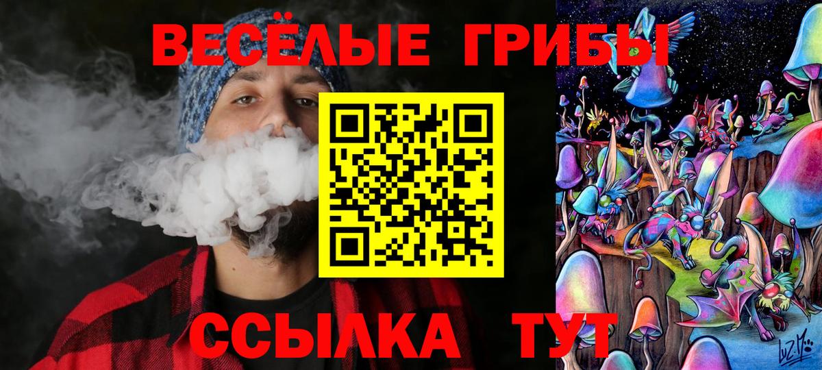 Гатчина  Галлюциногенные грибы ЛСД  Вход с VPN  хочу наркоту  Галлюциногенные грибы Cubensis 