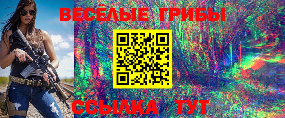 Галлюциногенные грибы прущие грибы Гатчина